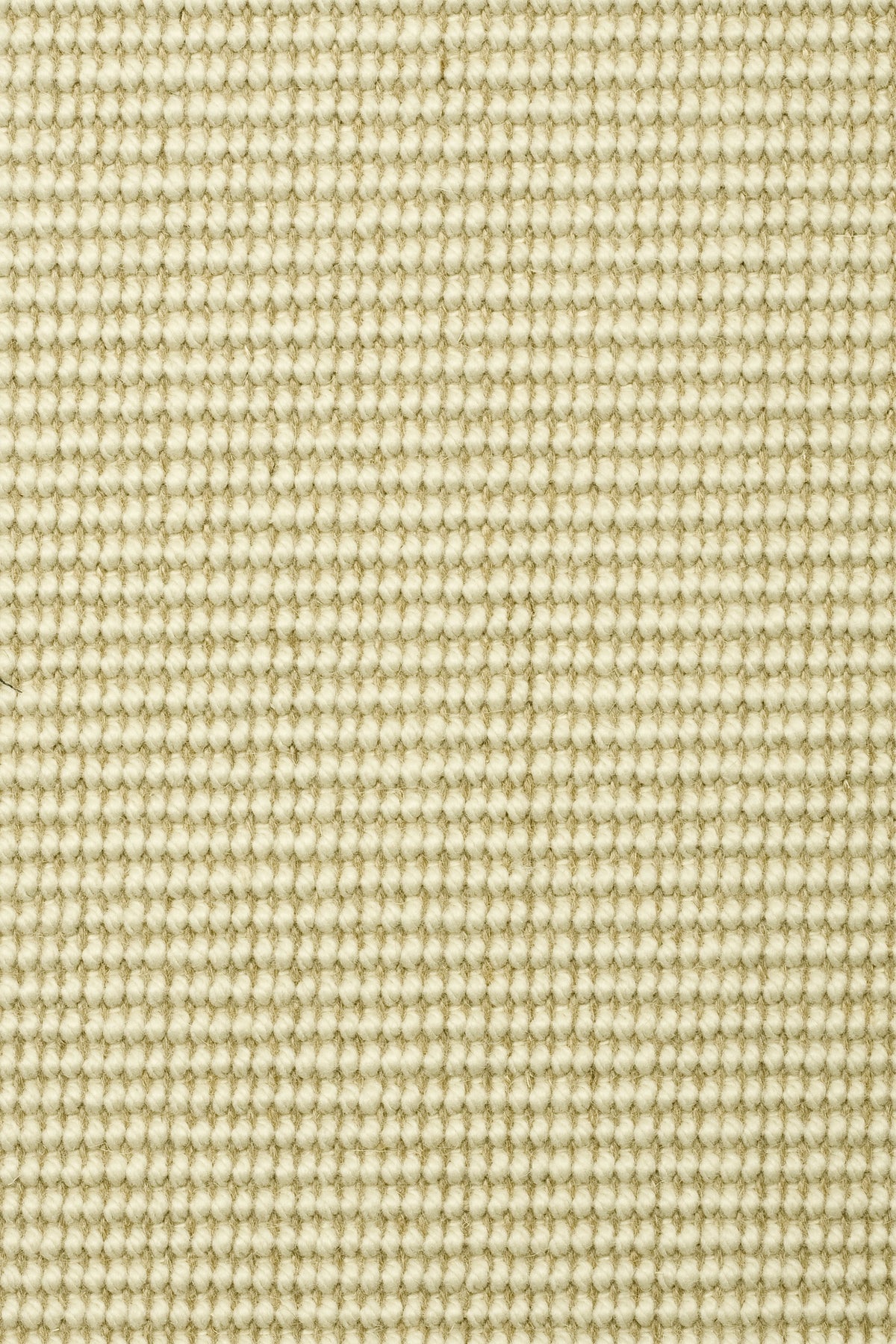 Tramella Teppichboden | Farbe: Creme (1)