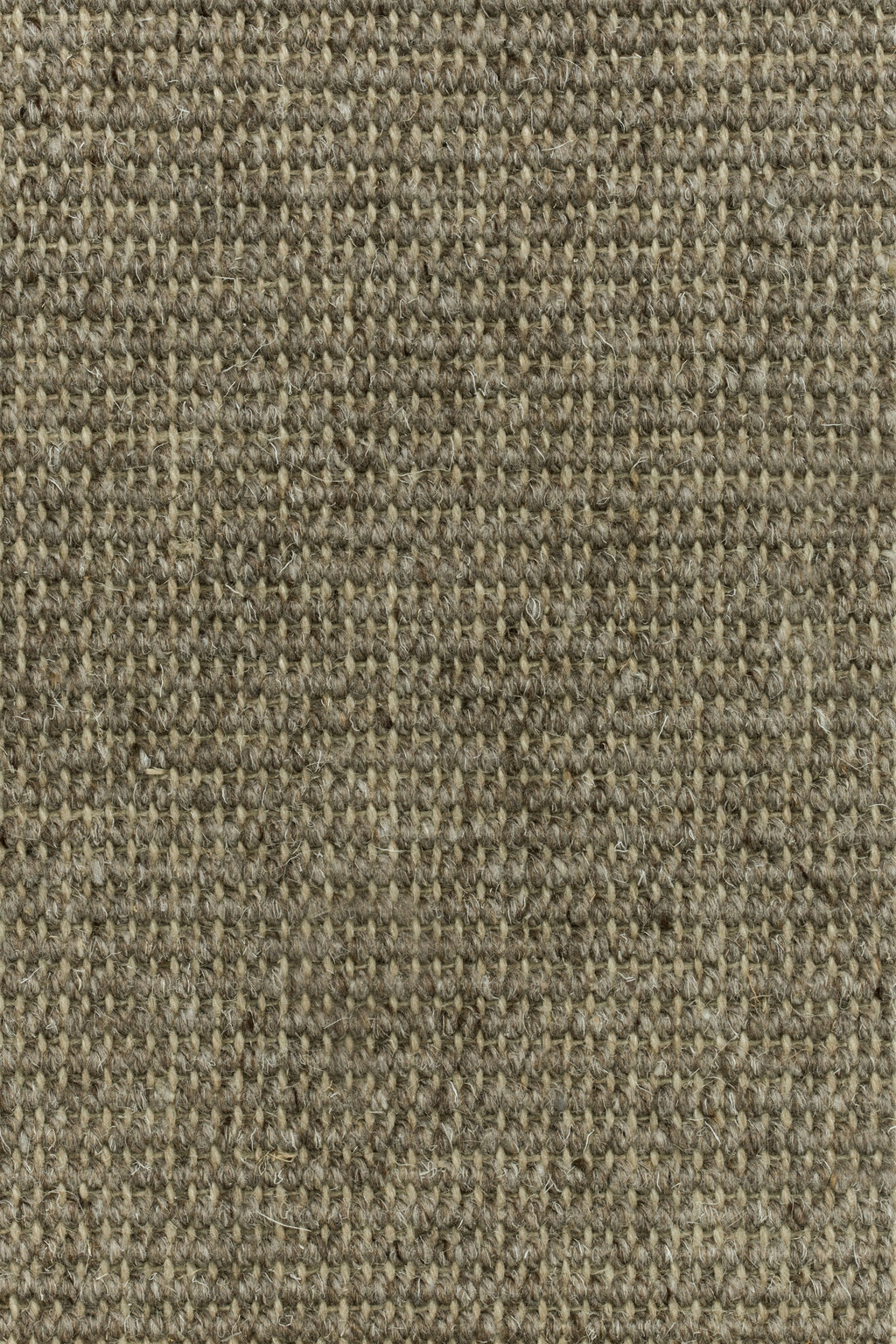 Tramella Teppichboden | Farbe: Dunkeltaupe (18)