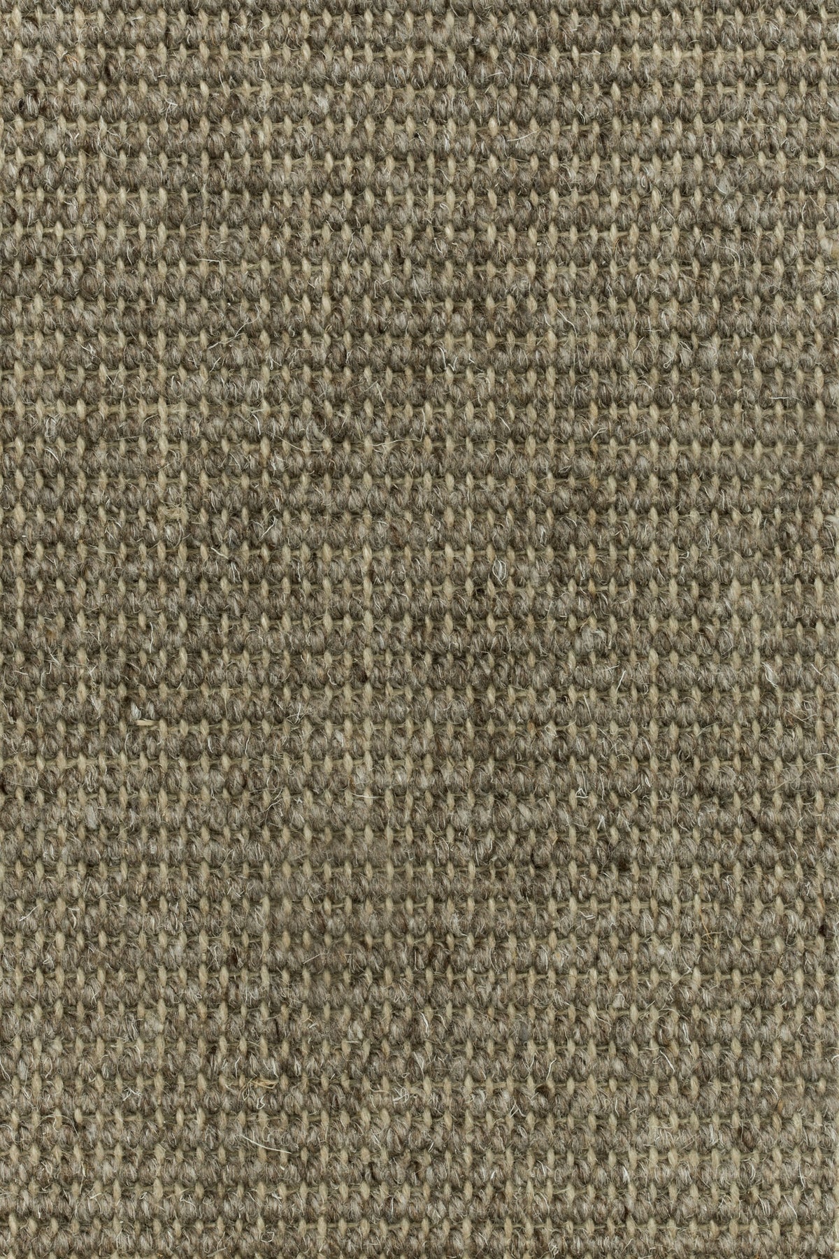 Tramella Teppichboden | Farbe: Dunkeltaupe (18)