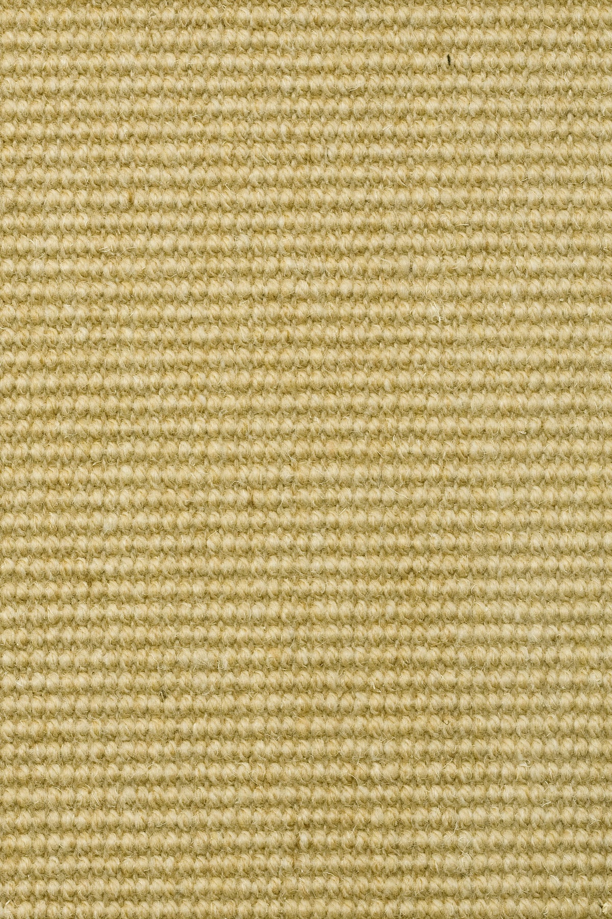 Tramella Teppichboden | Farbe: Honig (44)