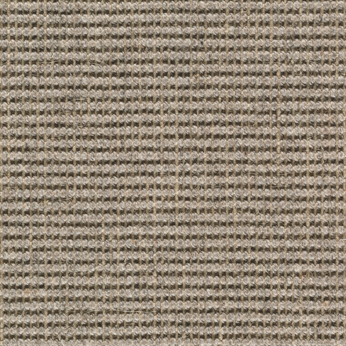 Tramella Teppichboden | Farbe: Taupe (40)