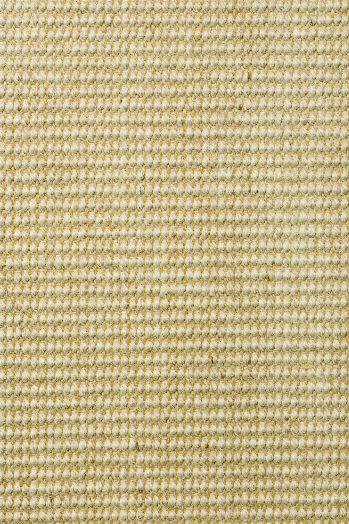 Tramella Teppichboden | Farbe: Vanille (10)