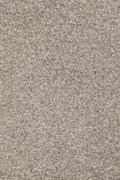 Tulpina Teppich nach Maß | Farbe: Greige (49) | Farbfoto (Farbe kann abweichen)