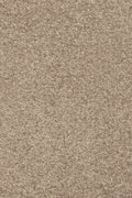 Tulpina Teppich nach Maß | Farbe: Sand (35) | Farbfoto (Farbe kann abweichen)