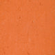 Mandarine