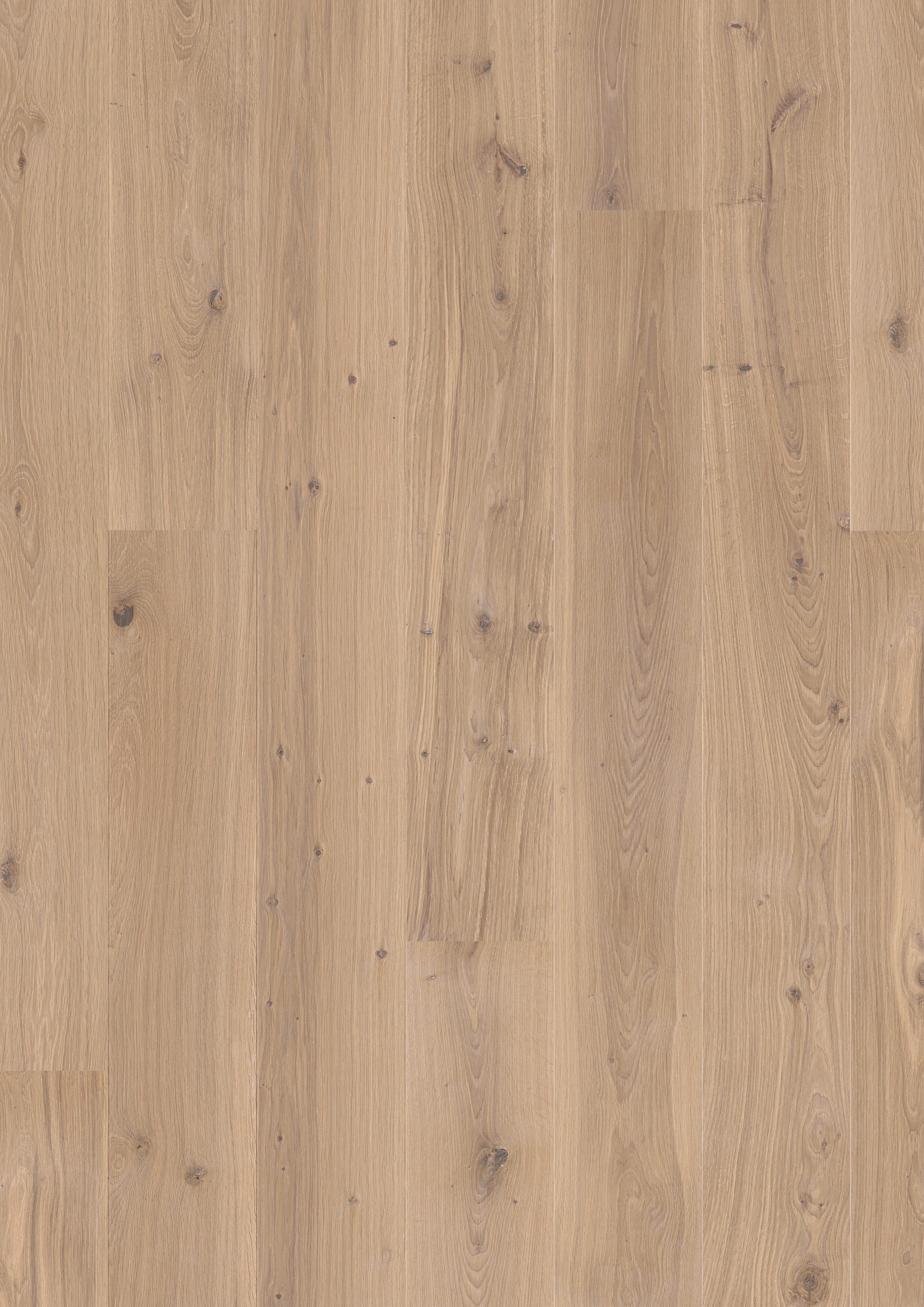 Valdoro | Farbe: Eiche Creme Natur geölt | Produktbild