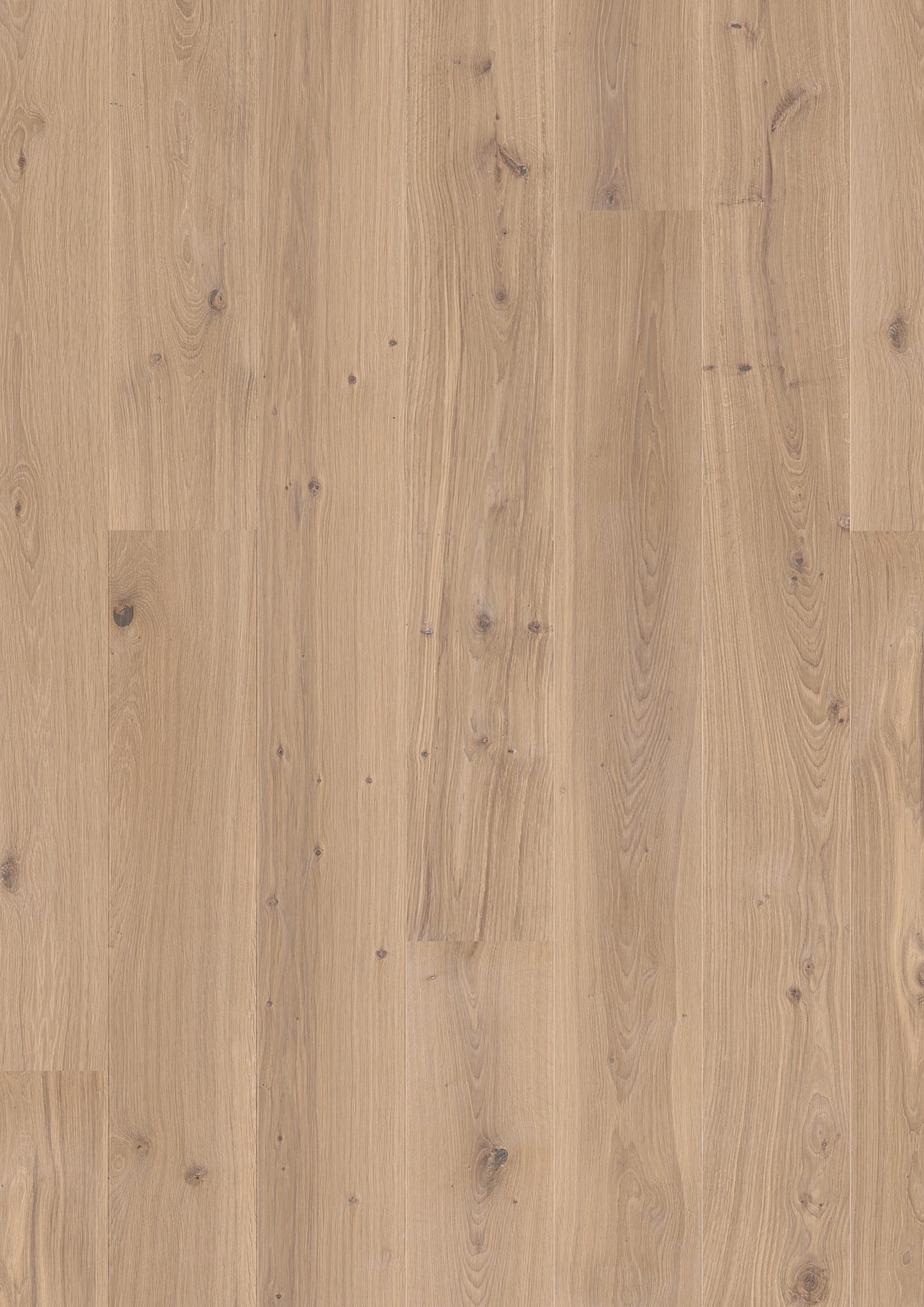 Valdoro | Farbe: Eiche Creme Natur geölt | Produktbild
