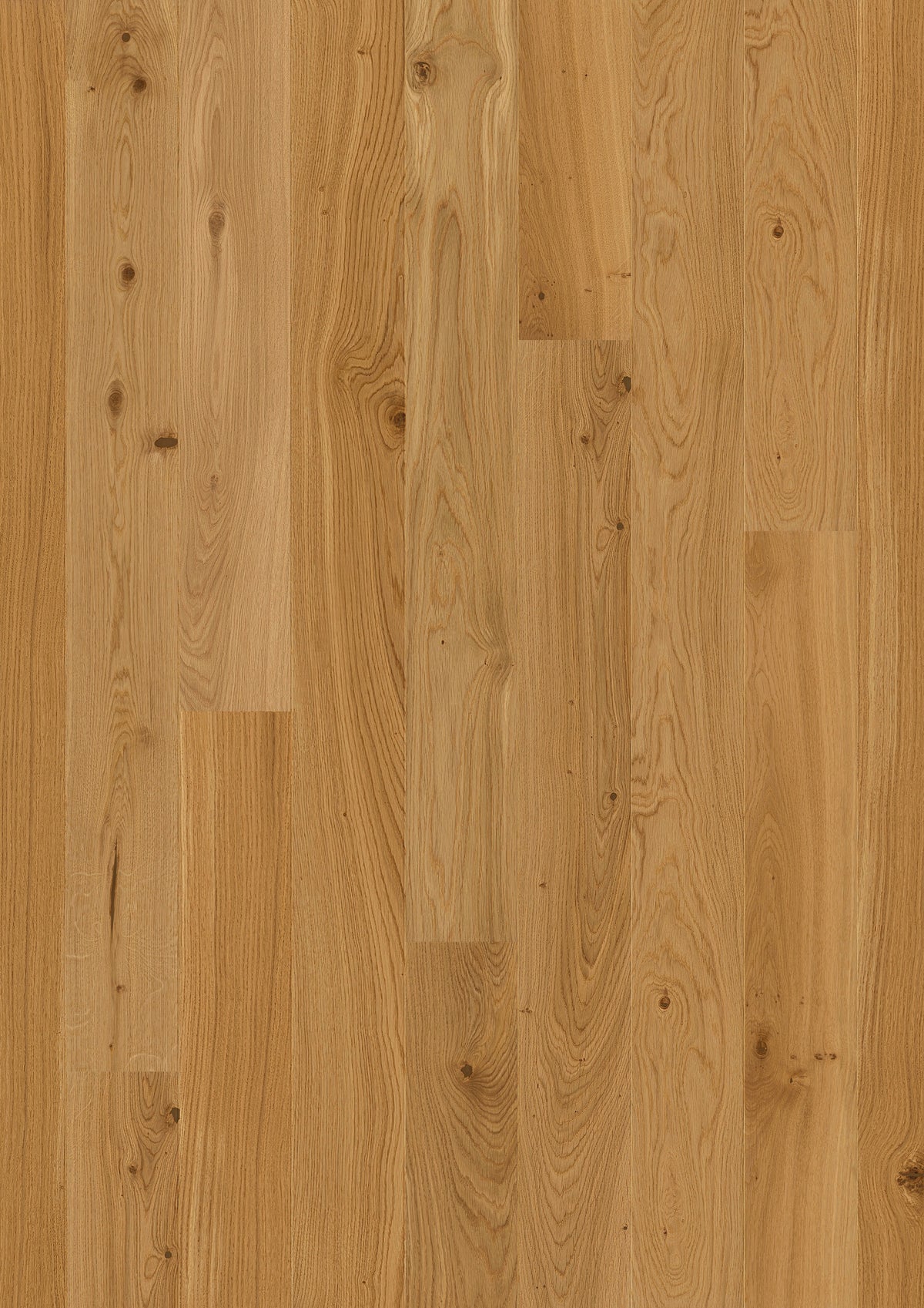 Valdoro | Farbe: Eiche Natur lackiert | Produktbild