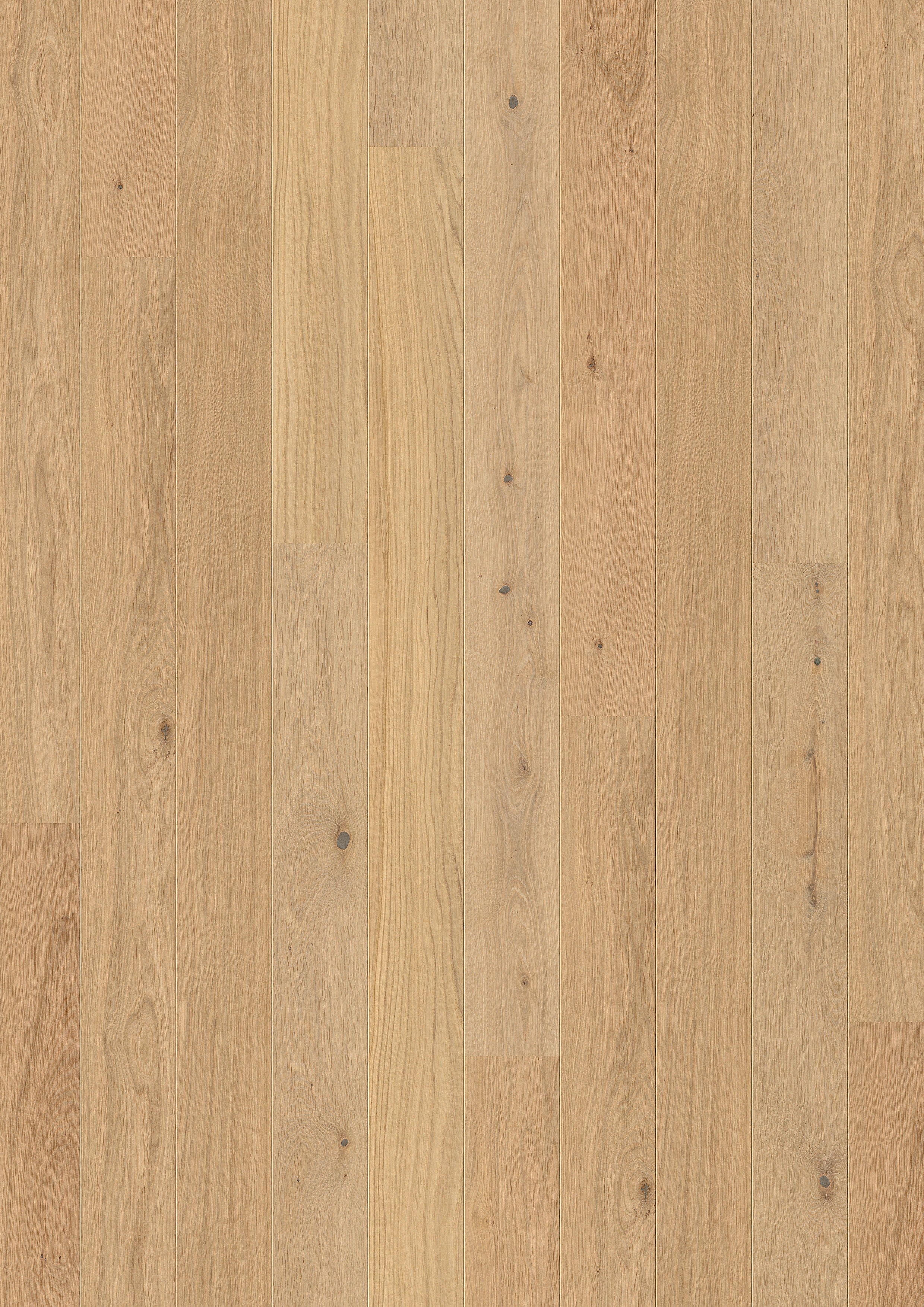 Valdoro | Farbe: Eiche Hellbeige Natur lackiert | Produktbild