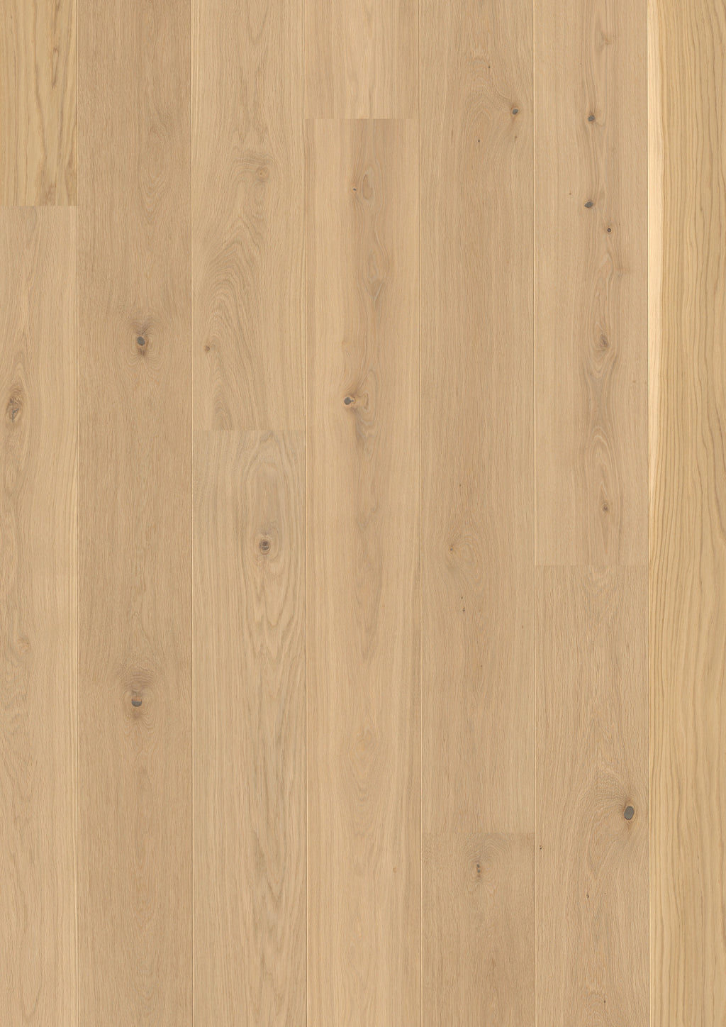 Valdoro | Farbe: Eiche Hellbeige Natur lackiert | Produktbild