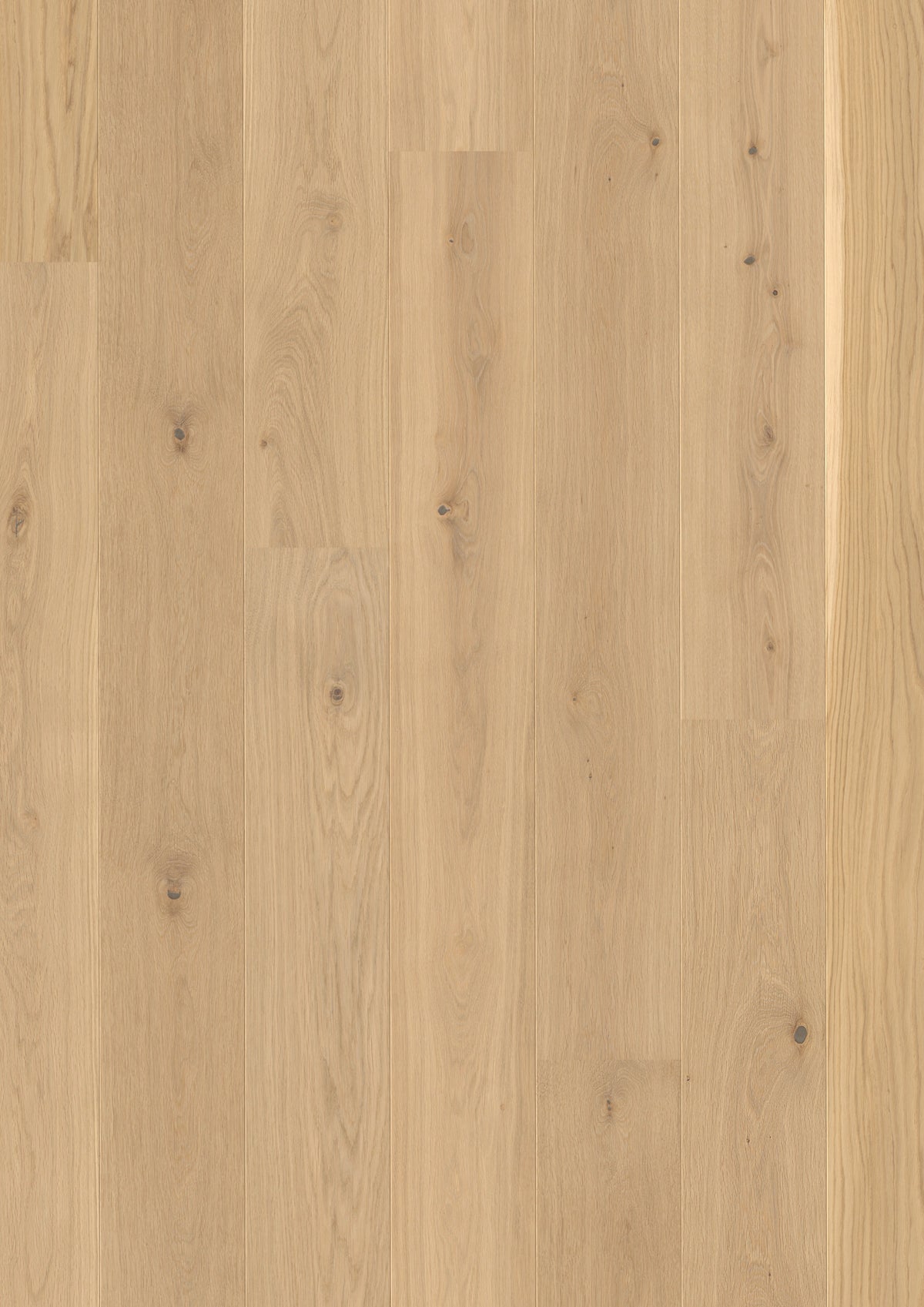 Valdoro | Farbe: Eiche Hellbeige Natur lackiert | Produktbild