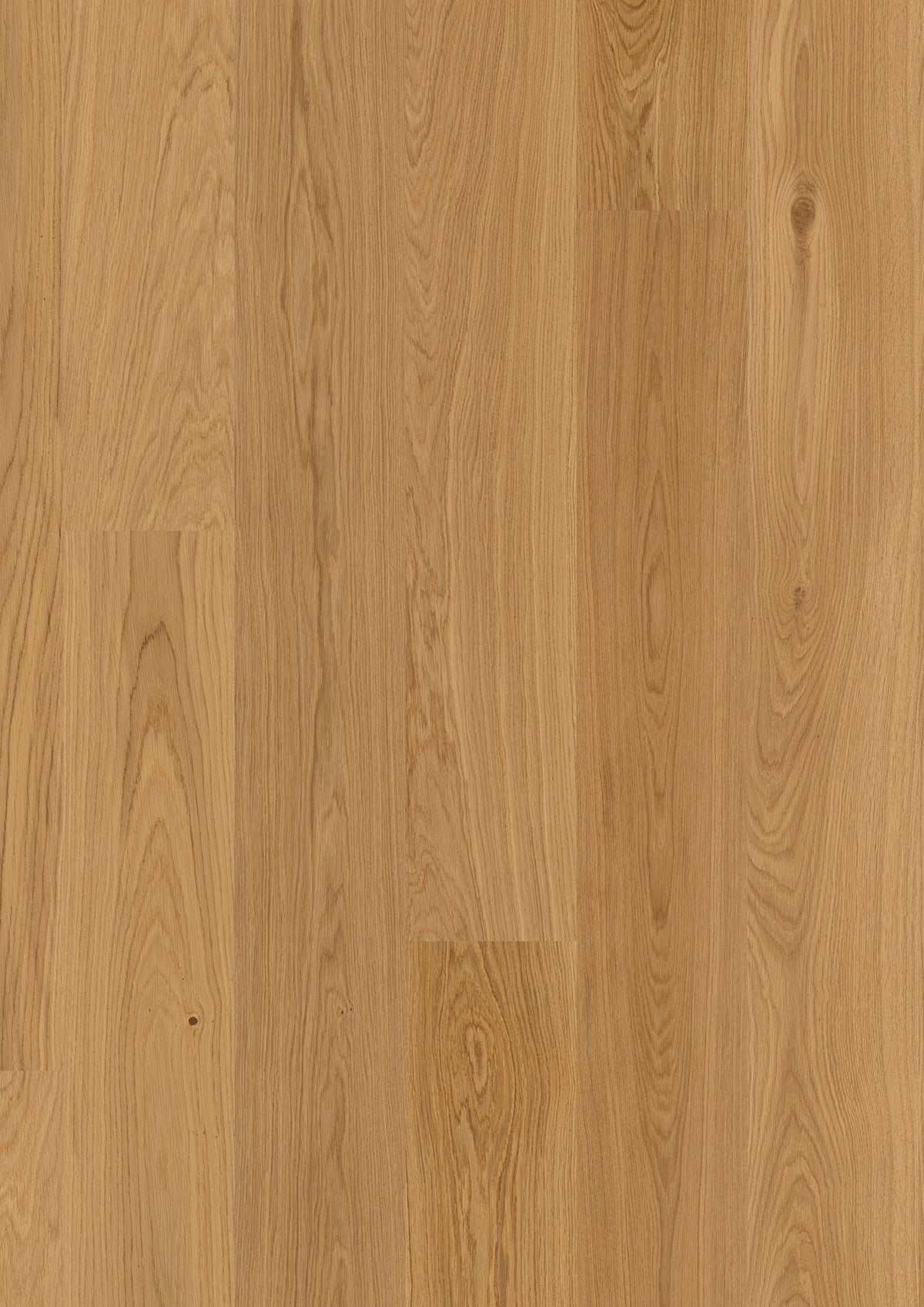 Valdoro | Farbe: Eiche Select geölt | Produktbild