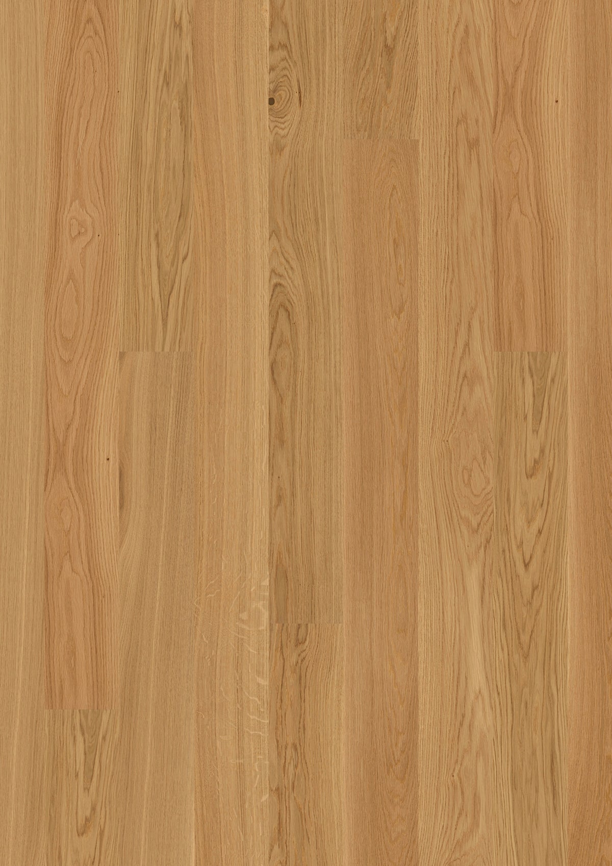 Valdoro | Farbe: Eiche Select lackiert | Produktbild