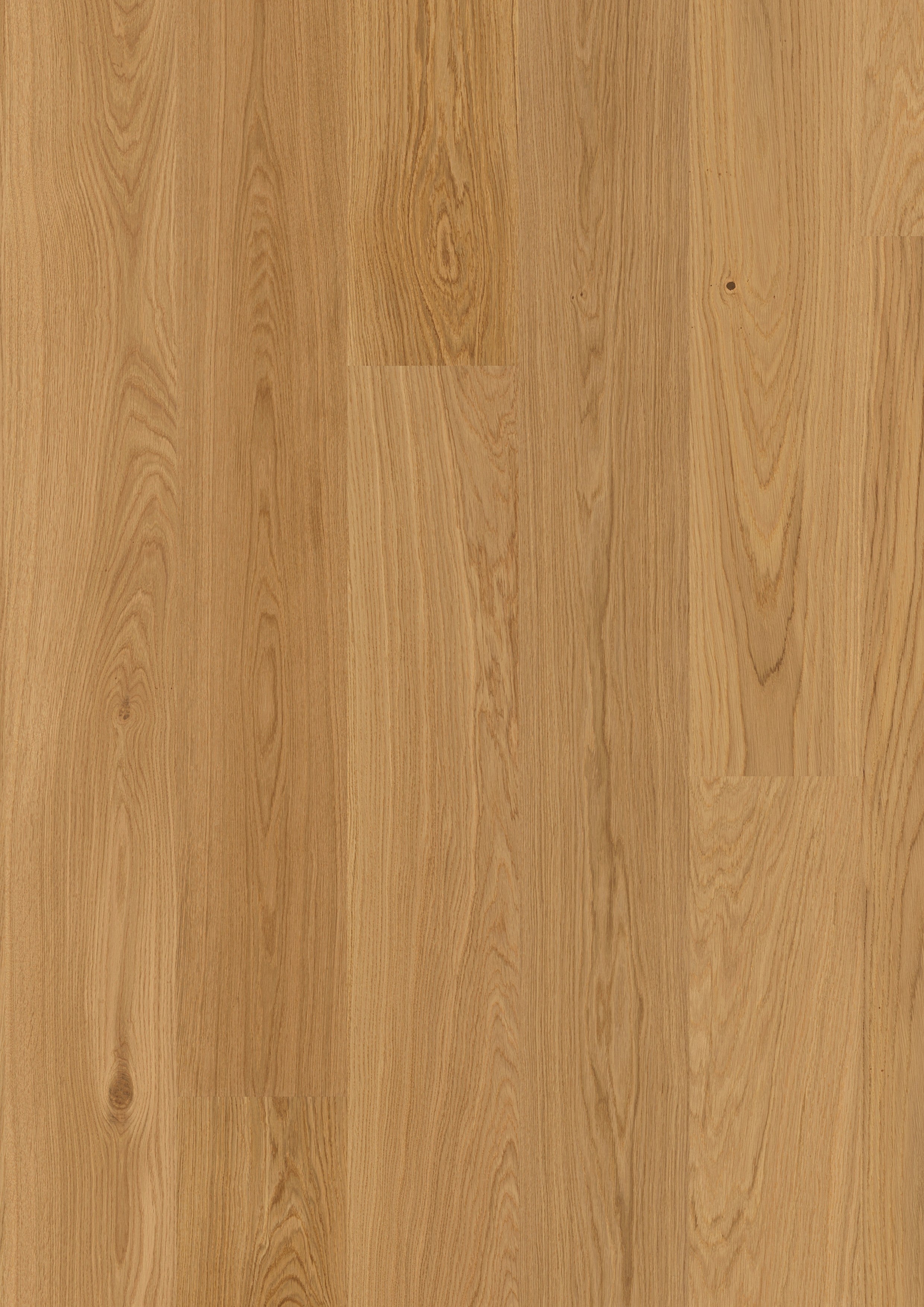 Valdoro | Farbe: Eiche Select lackiert | Produktbild
