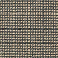 Dunkeltaupe (95)