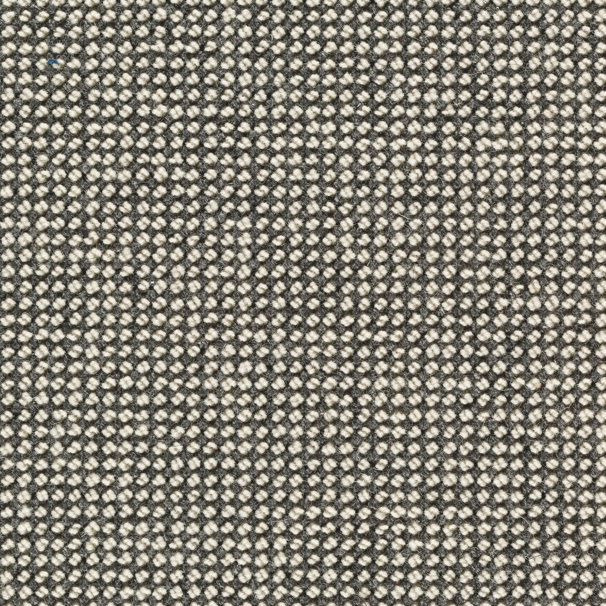 Velaria Teppichboden | Farbe: Grau (01)