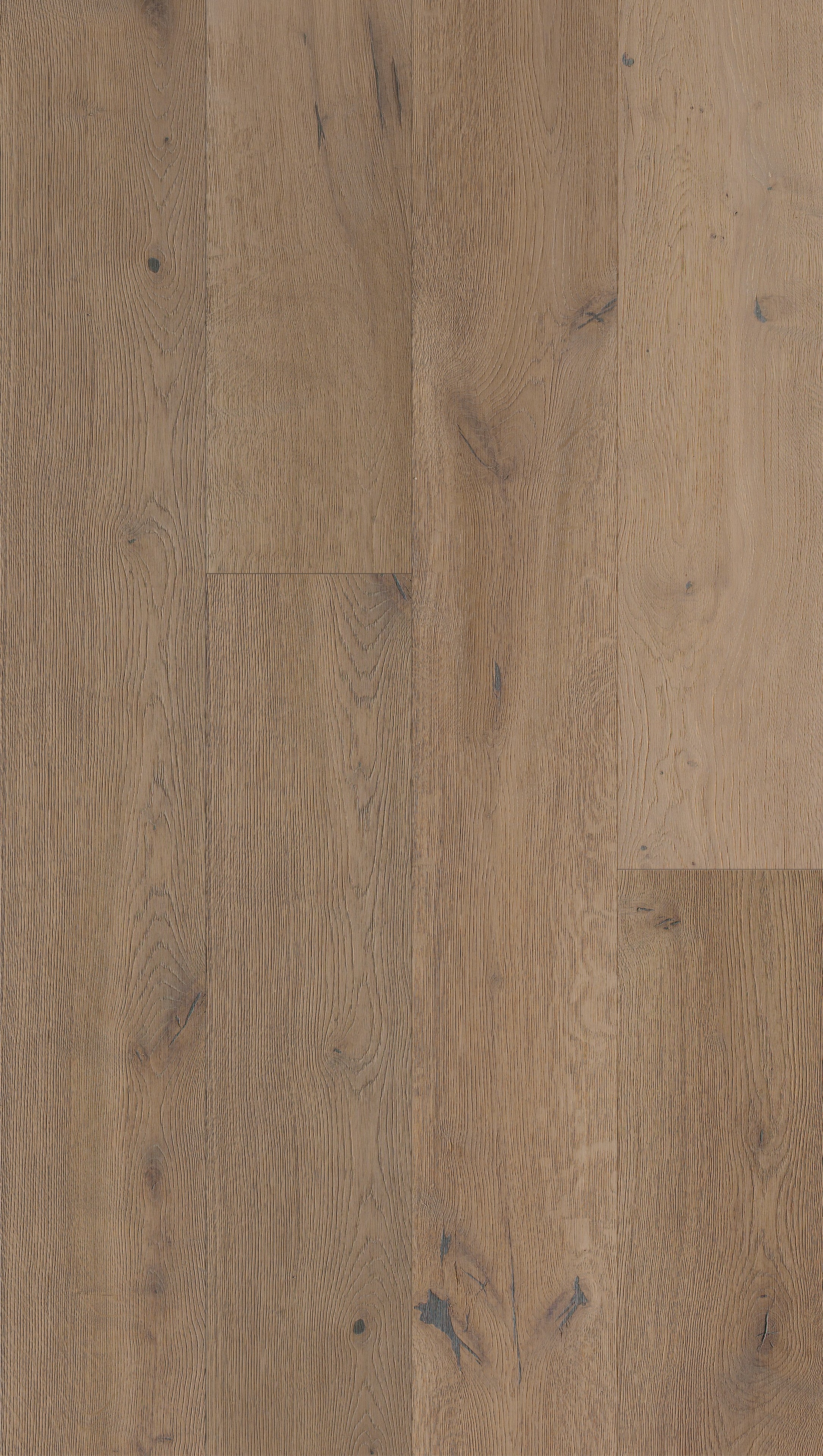 Vinara | Farbe: Eiche Graubraun Barrique Lebhaft geölt | Produktbild