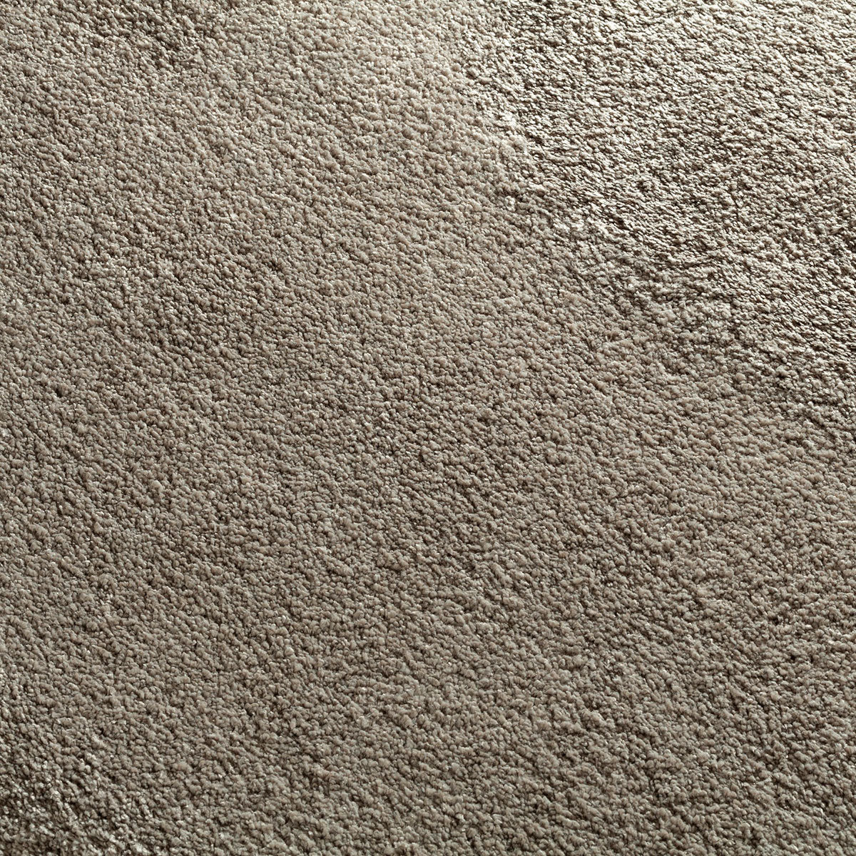 Wisteria Teppichboden | Farbe: Taupe (695)