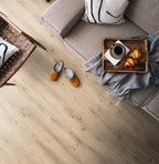Xanverano Eiche Greige Klickvinyl – Raumbeispiel (Farbe kann abweichen)